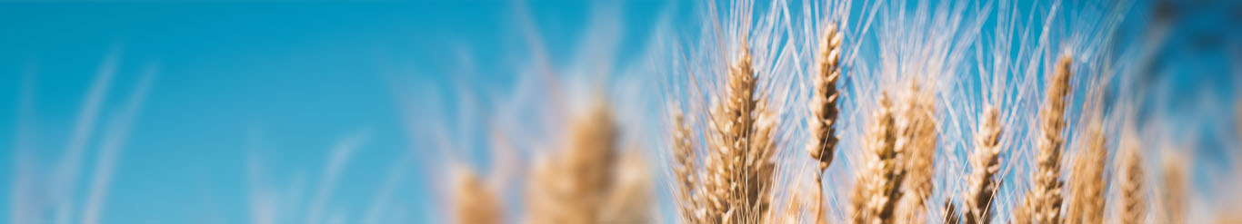 Świętokrzyski Ośrodek Doradztwa Rolniczego